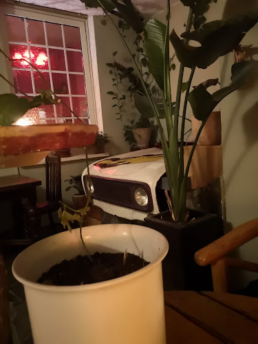 Berzeliusstraße 11, 45144 Essen