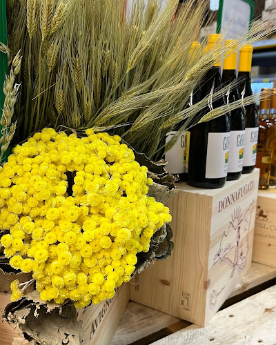 Comentarii opinii despre Andronaco HafenContor