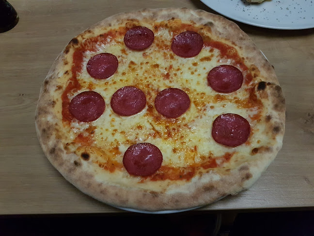 Andronaco HafenContor