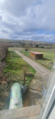 Wingerts Stubb - Gastronomie und Hotellerie