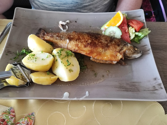 Villa Oberhof - Ines Machatschek - Gastronomie und Hotellerie