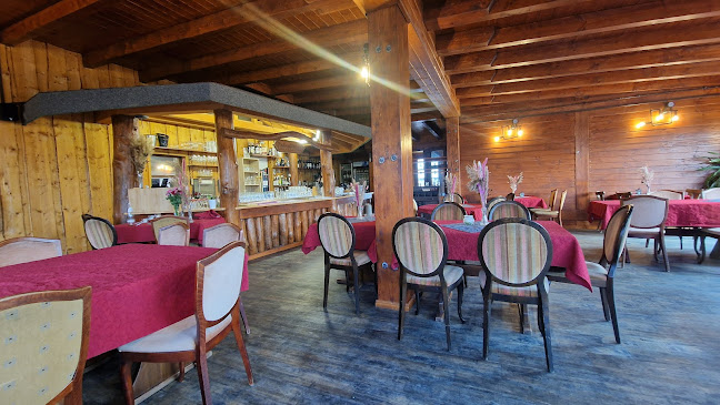 Comentarii opinii despre Roter Milan