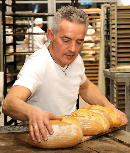 Comentarii opinii despre Verspohl | Bäckerei, Konditorei & Café