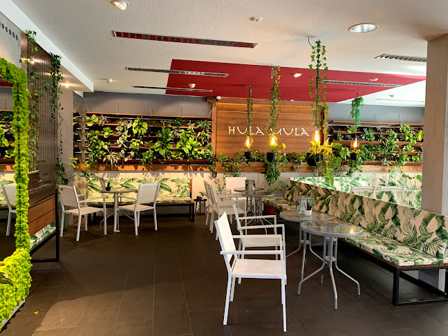 Opinii despre Hula Mula - Fresh Food & Drinks în Villingen-Schwenningen - Gastronomie und Hotellerie