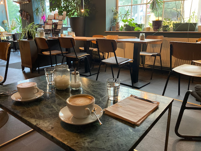 Opinii despre Das 3. Kapitel în Braunschweig - Gastronomie und Hotellerie