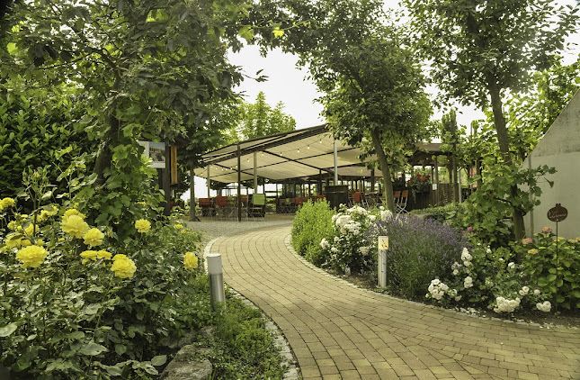 Restaurant Holderbüschle - Gastronomie und Hotellerie