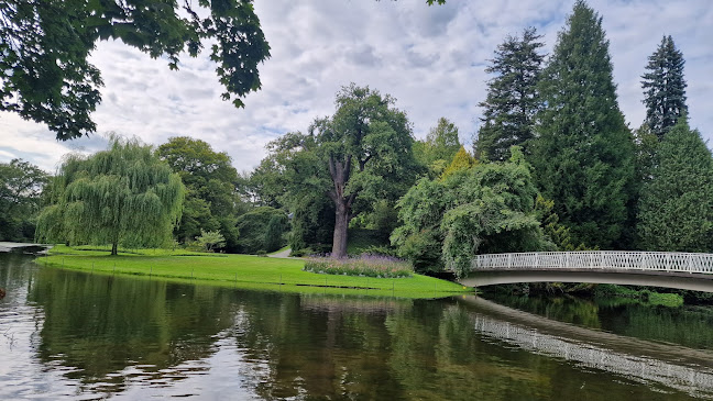 Opinii despre Café Siebenbergen în Kassel - Gastronomie und Hotellerie