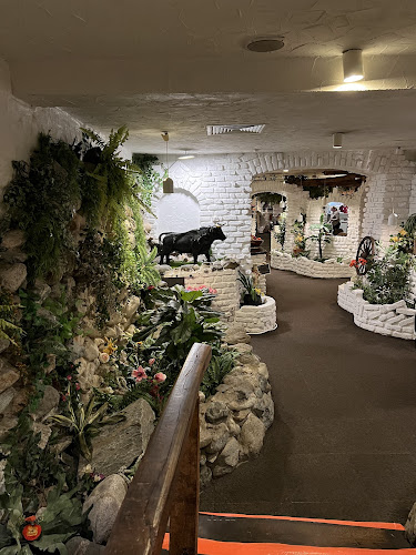 Comentarii opinii despre Steakhaus Hazienda