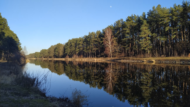 Comentarii opinii despre Imbiss & Sauna Friedrichsthal "Alte Fähre"