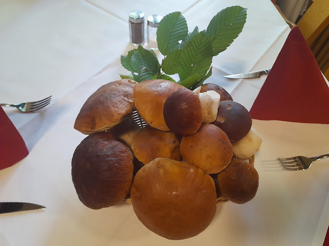 Comentarii opinii despre La Vite Plankstadt