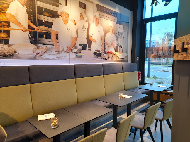 Comentarii opinii despre Bäckerei Konditorei Claus GmbH & Co. KG