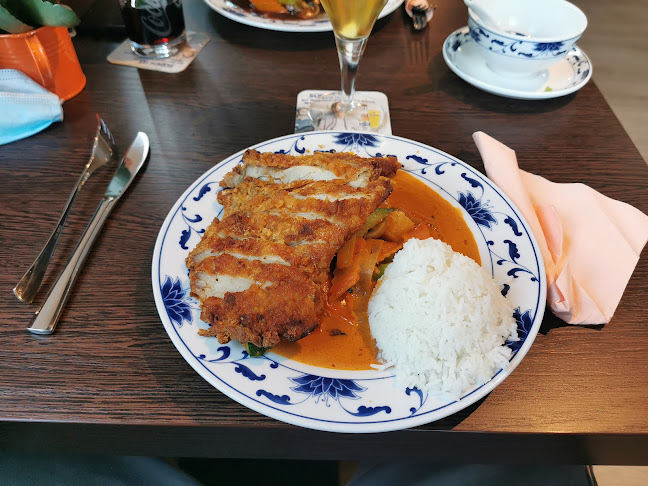 Comentarii opinii despre Hoa Sen - Asiatische Küche