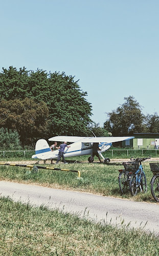 Comentarii opinii despre Flugplatz Biergarten Herrenteich