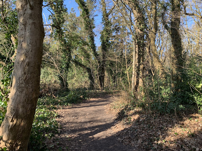 Opinii despre Kurhaus Dangast în Varel - Gastronomie und Hotellerie