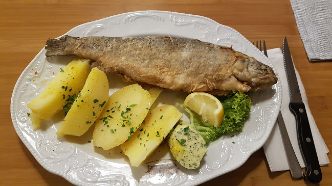 Comentarii opinii despre Gaststätte & Biergarten Fasanerie-See