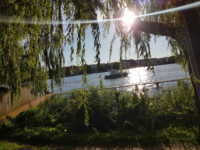 Comentarii opinii despre Restaurant Krokodil