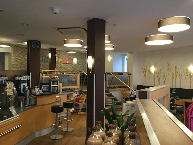 Comentarii opinii despre Cafe-Konditorei Oberle