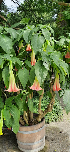 Café Siebenbergen - Kassel