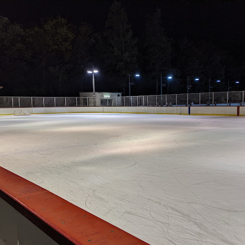 KEIN Schlittschuhlaufen Späth'schen Baumschulen Winter 2020/21 - Berlin