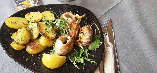 Comentarii opinii despre Maldini Dittelbrunn