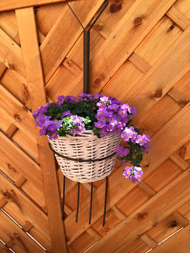 Comentarii opinii despre Steakhaus el-gaucho