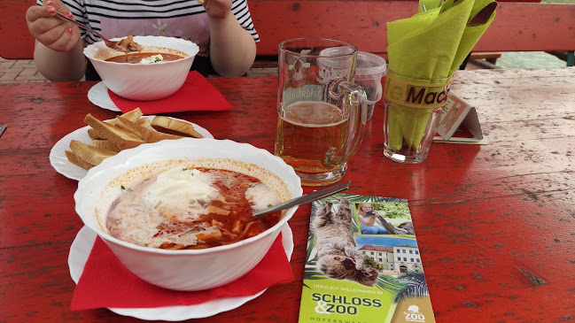 Zoorestaurant SAMBESI - Eintritt erforderlich - Gastronomie und Hotellerie