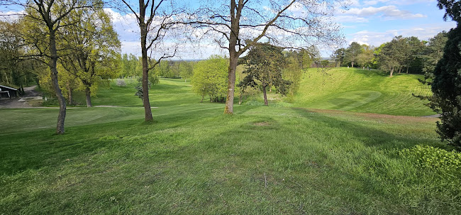 Opinii despre Restaurant Hockenbergs în Seevetal - Gastronomie und Hotellerie