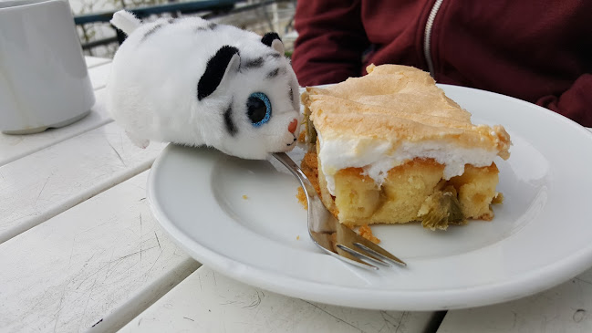 Comentarii opinii despre Kurhaus Dangast