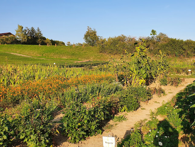 Blumen zum Selberpflücken