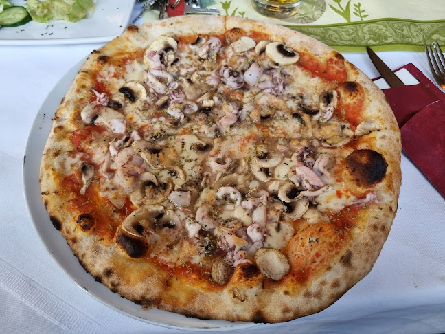 Schwedenbrücke 2, 95447 Bayreuth