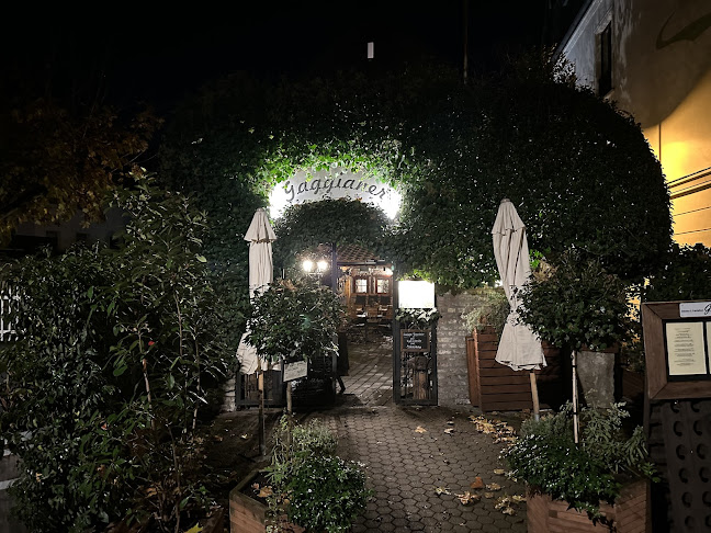 Comentarii opinii despre "Gaggianer"