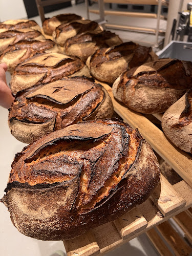 Zita-Kaiser-Straße 4, 79106 Freiburg im Breisgau