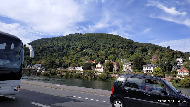 Comentarii opinii despre Red Ox