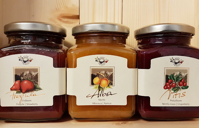 Comentarii opinii despre Wein Fohs