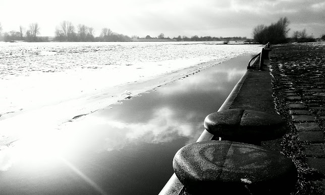 Altengammer Elbdeich 42, 21039 Hamburg