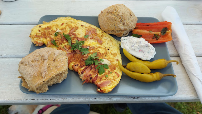 Comentarii opinii despre bettis