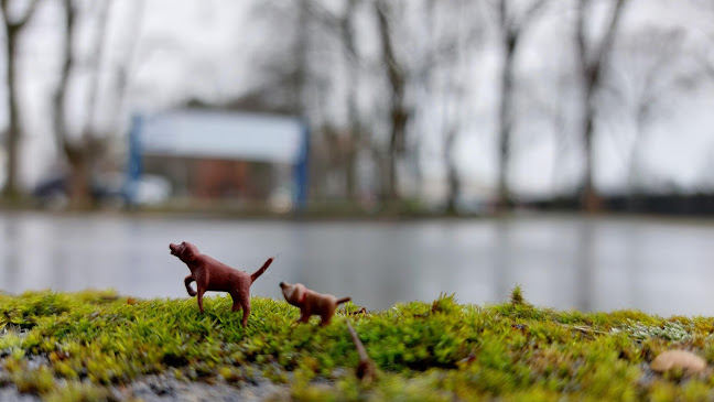 Opinii despre Café Memmet în Lippstadt - Gastronomie und Hotellerie