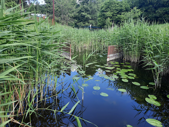 Babke 28, 17252 Roggentin