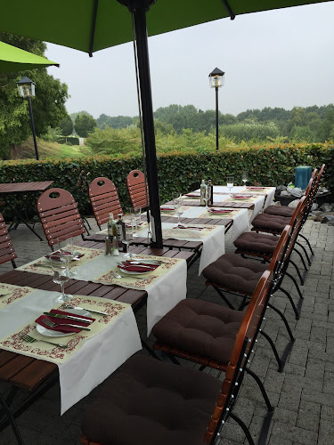 Comentarii opinii despre Brusco