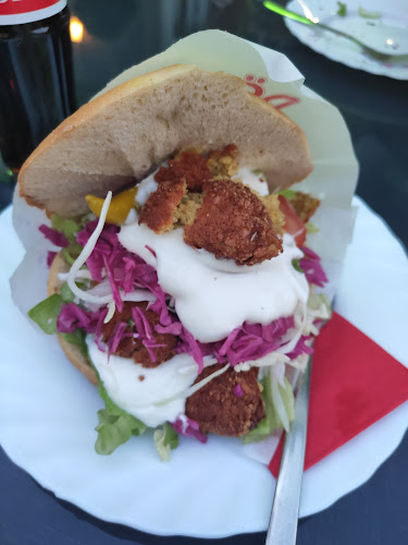 Saarbrücker Str. 25, 66424 Homburg