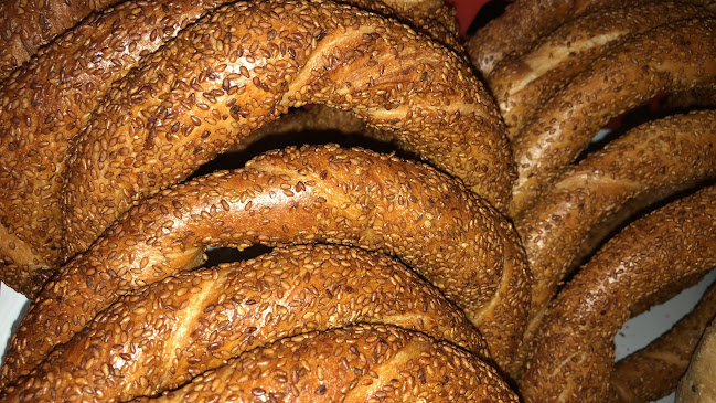 BackStern Tiryakioglu