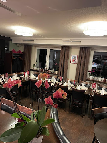 Comentarii opinii despre Brusco