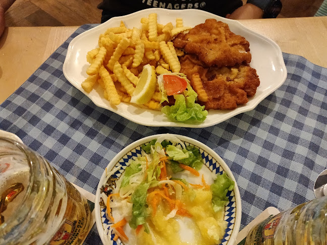 Comentarii opinii despre Zum Brünnstein