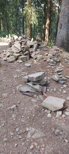 Bocksberghütte Hahnenklee - Goslar