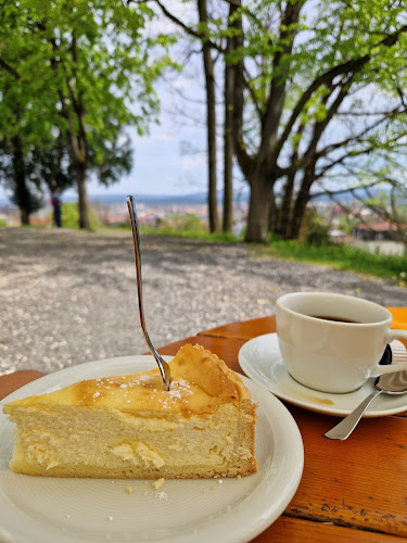 Villa Remeis - Bamberg