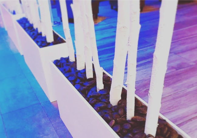 Comentarii opinii despre Burger Monkeyz Gotha