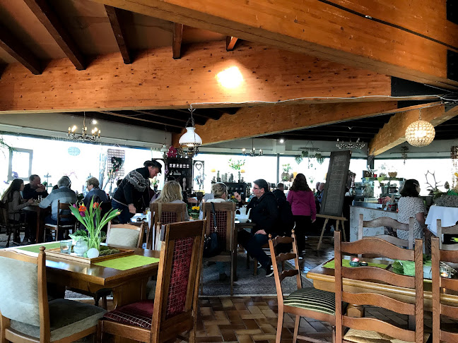 Comentarii opinii despre Deko Café Blickfang Nordhorn