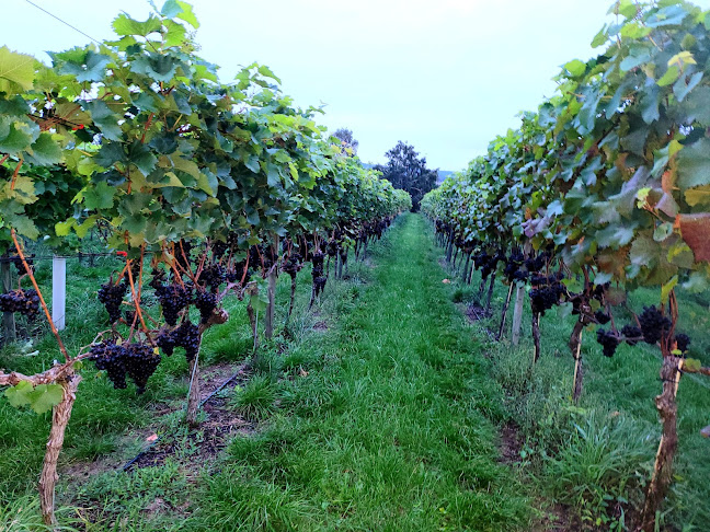 Wachtelwinkel 30, 14542 Werder (Havel)