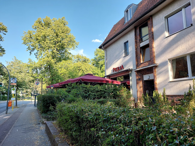 Comentarii opinii despre Pikilia