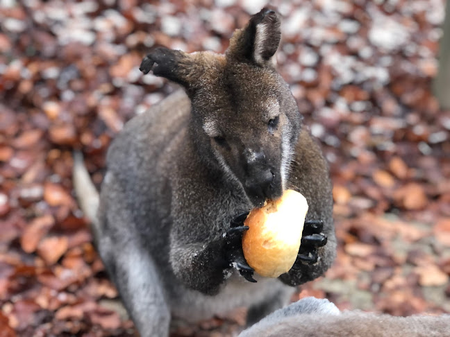Str. d. Einheit 17, 06179 Teutschenthal